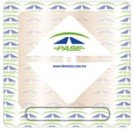 Oficiales intramuros